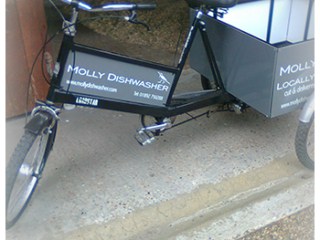 molly